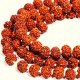 Rudraksha Mala for Men Original 108 Beads (7mm -8mm) | Rudraksha Mala for Women | 5 mukhi rudraksha mala Original Certified